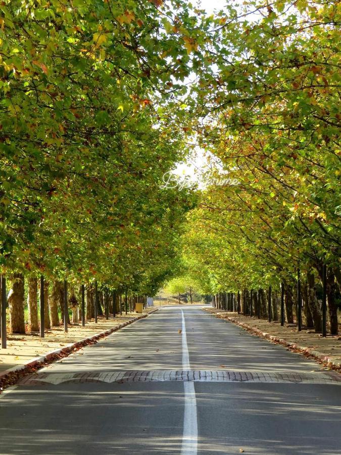 Appartement Amira Ifrane Ifrane  Bagian luar foto